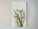 Hvite blomster thumbnail