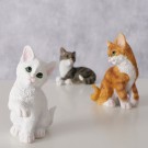 Lysebrun kattepus thumbnail