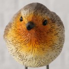 Rødstruper - 2 stk thumbnail