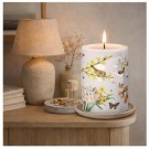 Temalys - friske skudd - 45 timer thumbnail