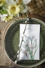 Hvite blomster thumbnail