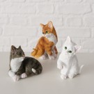 Grå kattepus thumbnail