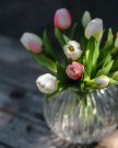 Tulipanbukett - hvit thumbnail
