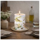 Temalys - friske skudd - 45 timer thumbnail