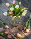 Tulipanbukett - hvit thumbnail