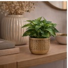 Potte gull 14,5 cm thumbnail