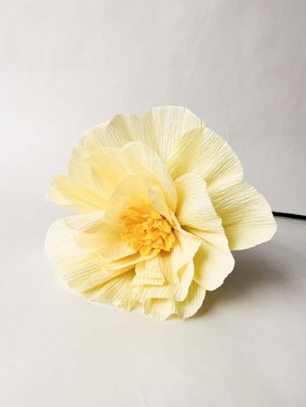 Papirblomst gul - 6 pk - KUN HENTEBUA!