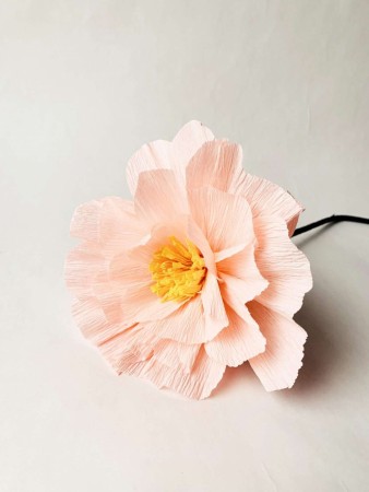 Papirblomst rosa - 6 pk - KUN HENTEBUA!