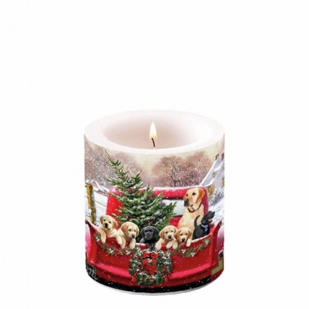 Tema lys familietur - 35 timer