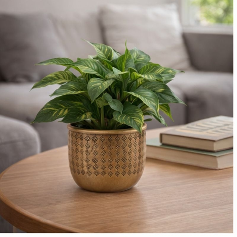 Diameter:	14.5
Høyde:	13 cm
Materiale:	SEMENT